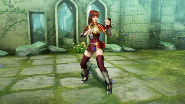 WARRIORS ALL-STARS: Naotora-themed costume for Kasumi