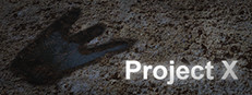 Project X 게임 이미지