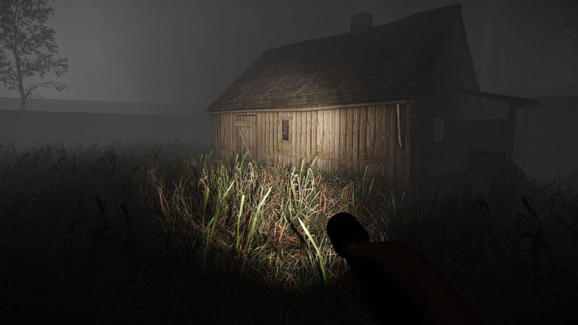 Room 54 изображений 
