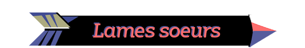 PRESENTATION - Boyfriend Dungeon 5 Lames soeurs | RPG Jeuxvidéo