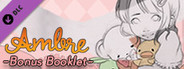 Ambre Bonus Booklet
