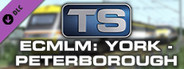 Train Simulator: East Coast Main Line Modern: York - Peterborough Route Add-On