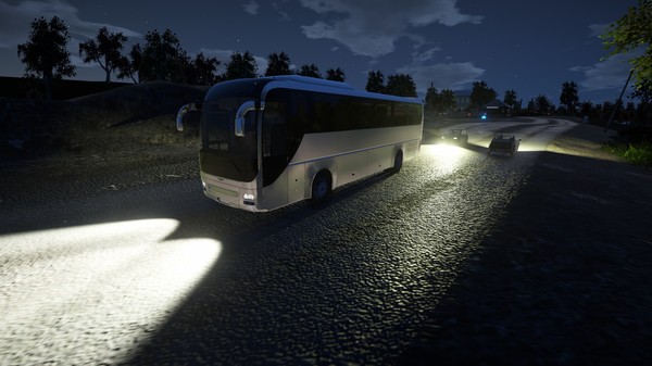 Скриншот №14 к Bus Driver Simulator