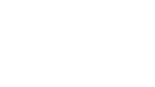Fractured Minds