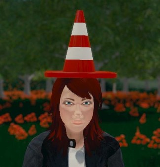Hide and Seek - Traffic Cone