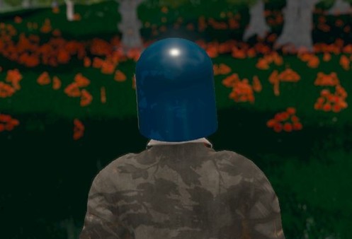 Hide and Seek - Riot Helmet