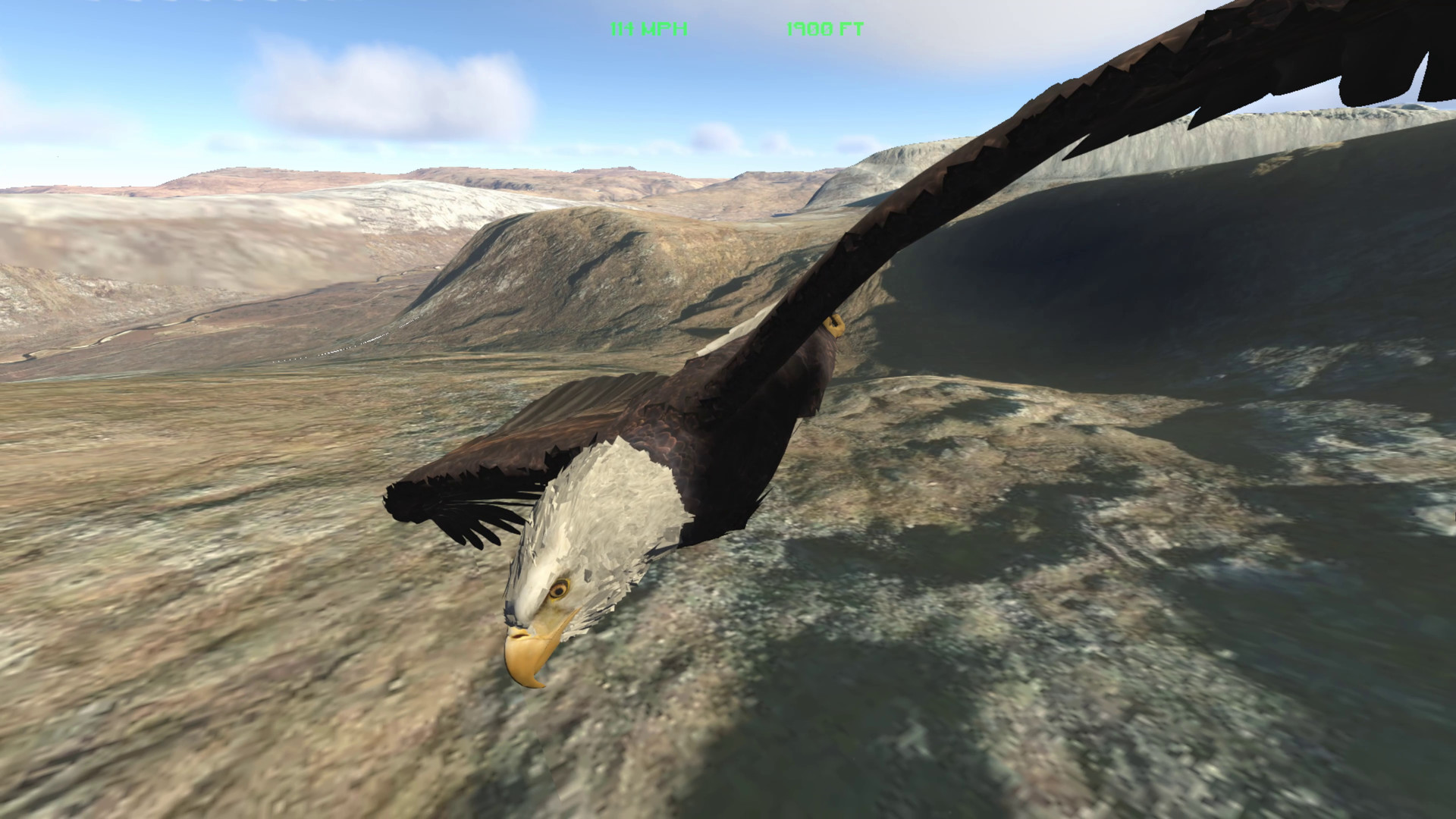 Aquila Bird Flight Simulator Demo #3