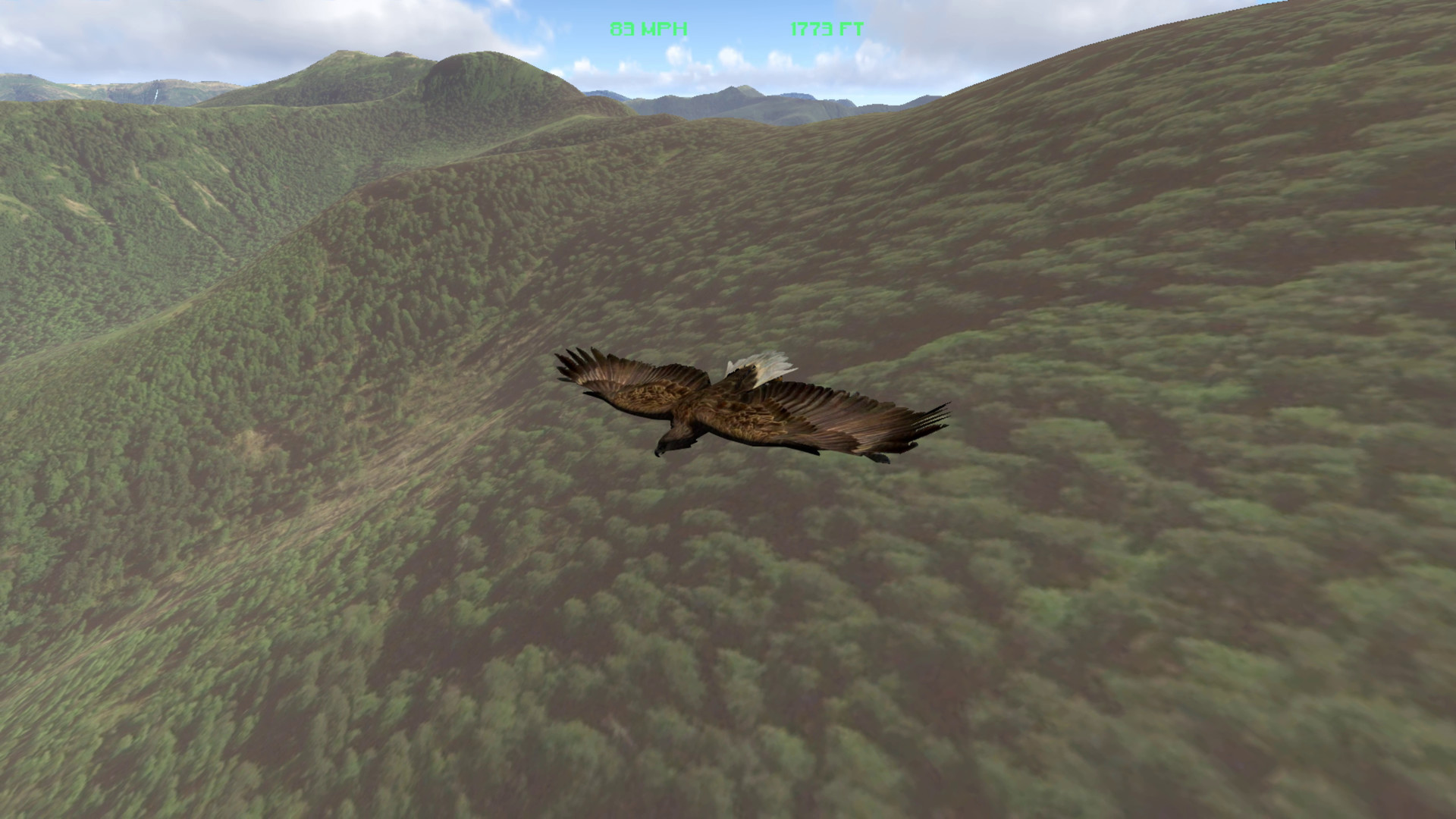 Aquila Bird Flight Simulator Demo #5