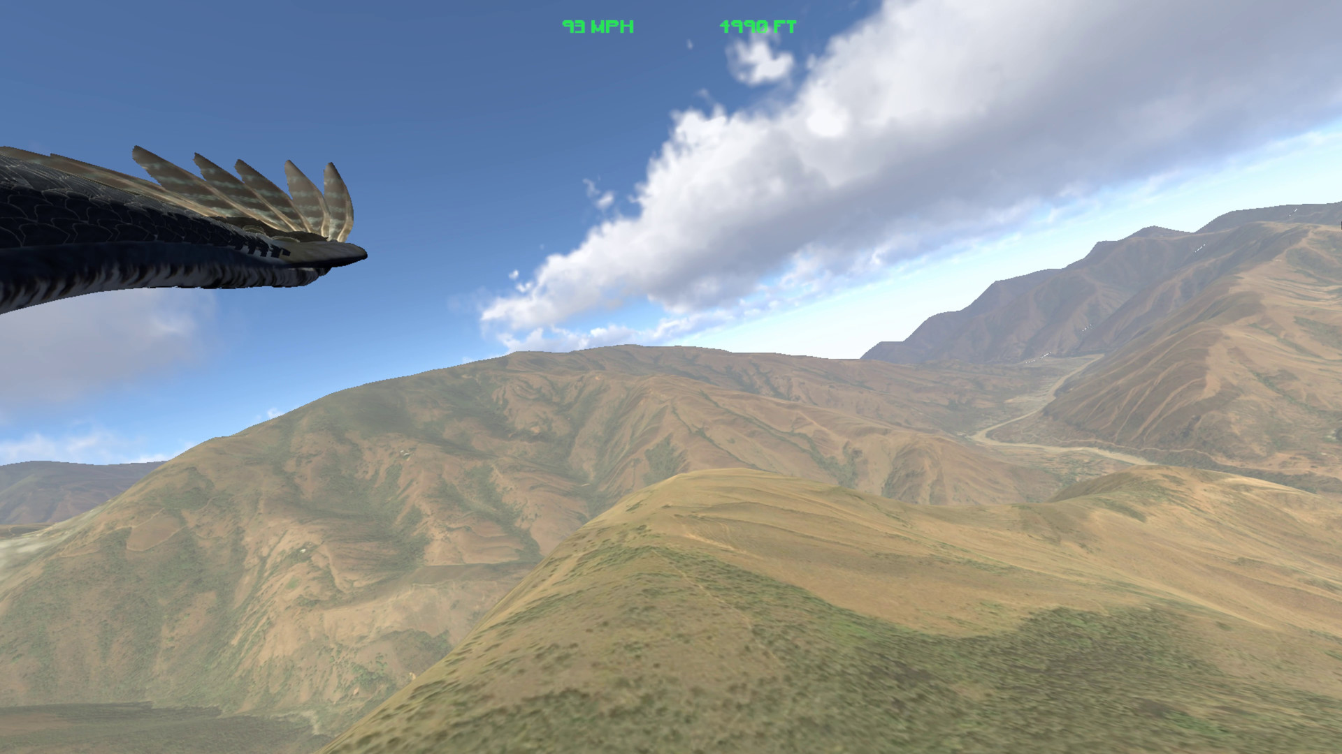Aquila Bird Flight Simulator Demo #2