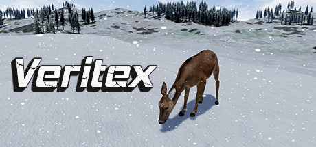 Veritex header image