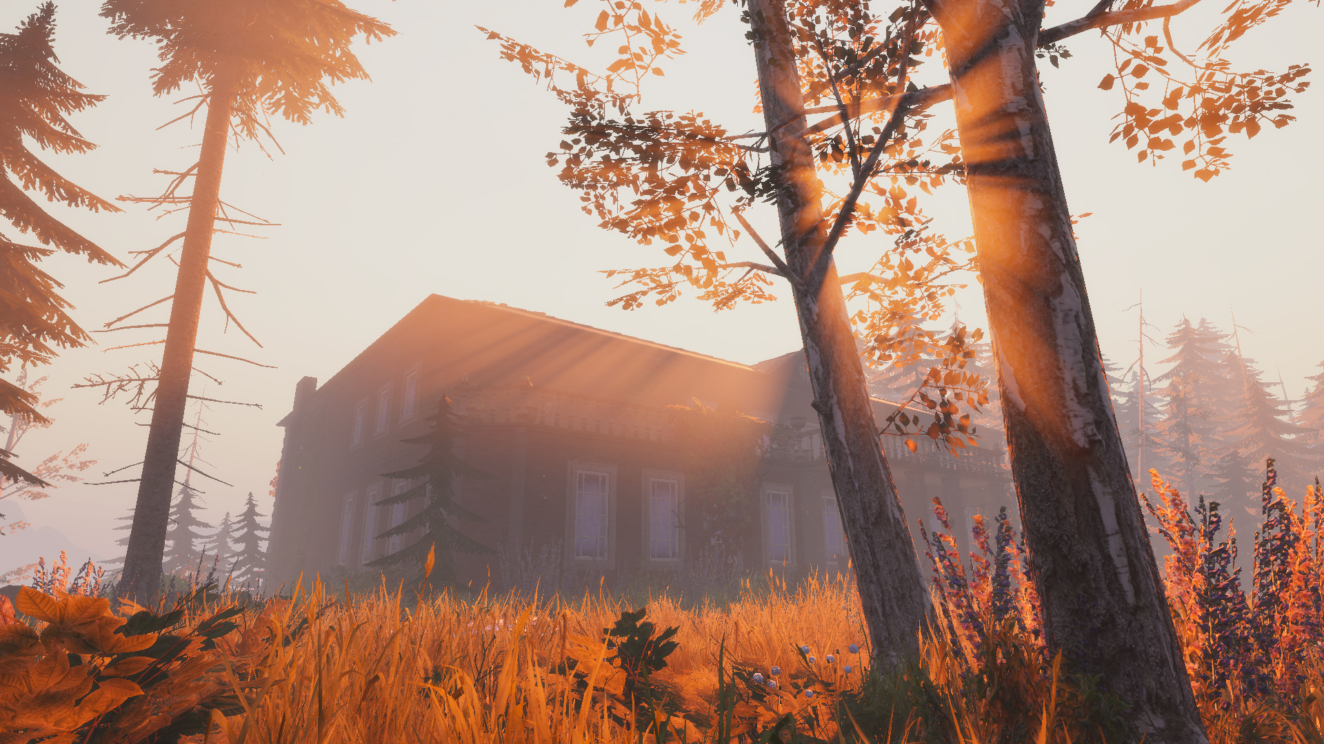 Lake Ridden screenshot 8