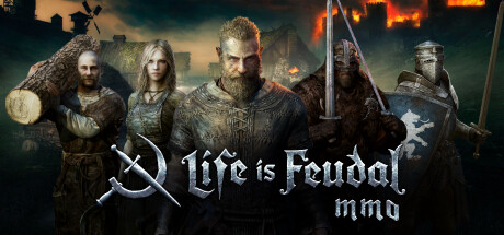 Life is Feudal: MMO technical specifications for computer