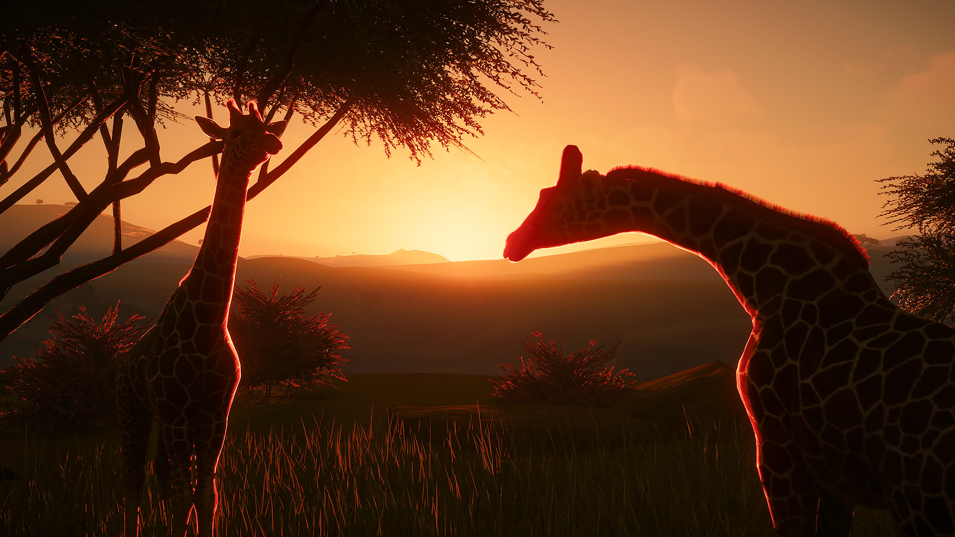 Planet Zoo Update 1.14.1 is available now!