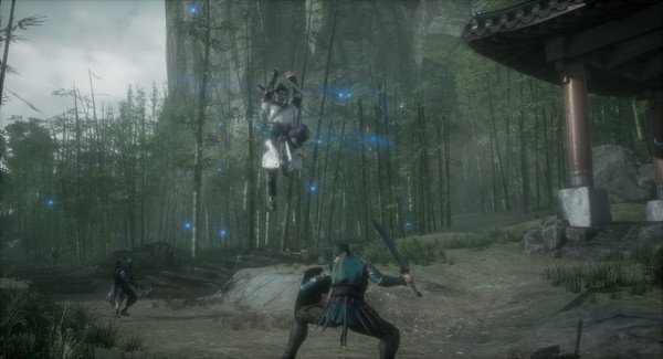 隐龙传：影踪(Hidden Dragon Legend: Shadow Trace)