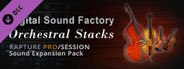 Digital Sound Factory - Orchestral Stacks
