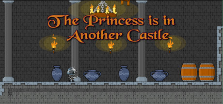 The Princess is in Another Castle Cover Image