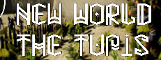New World: The Tupis 게임 이미지