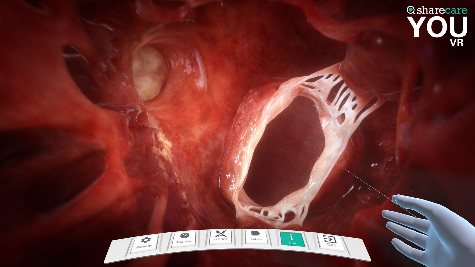 2333VR | [Oculus Quest] Sharecare YOU Anatomy VR/器官解刨学