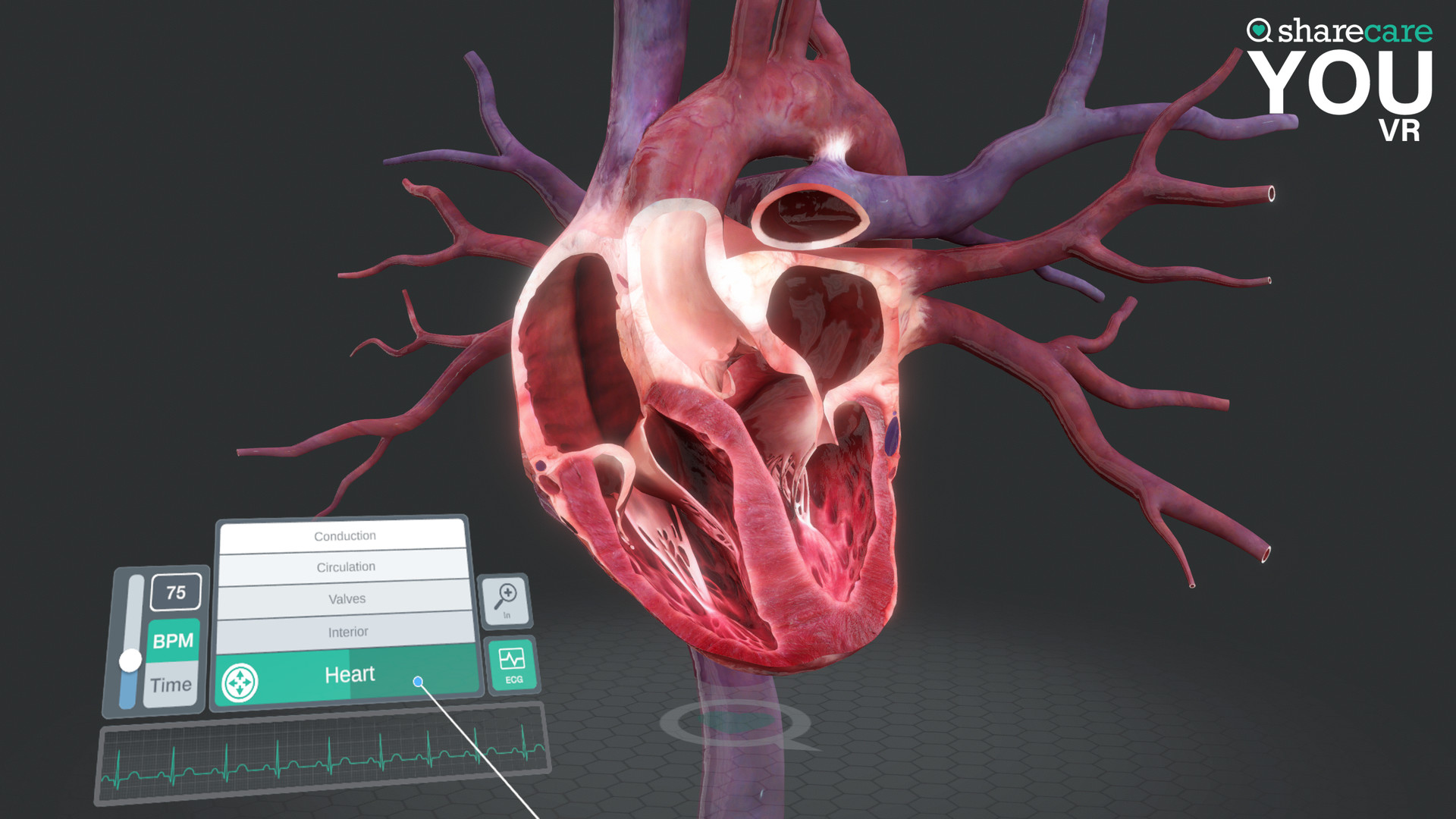 2333VR | [Oculus Quest] Sharecare YOU Anatomy VR/器官解刨学