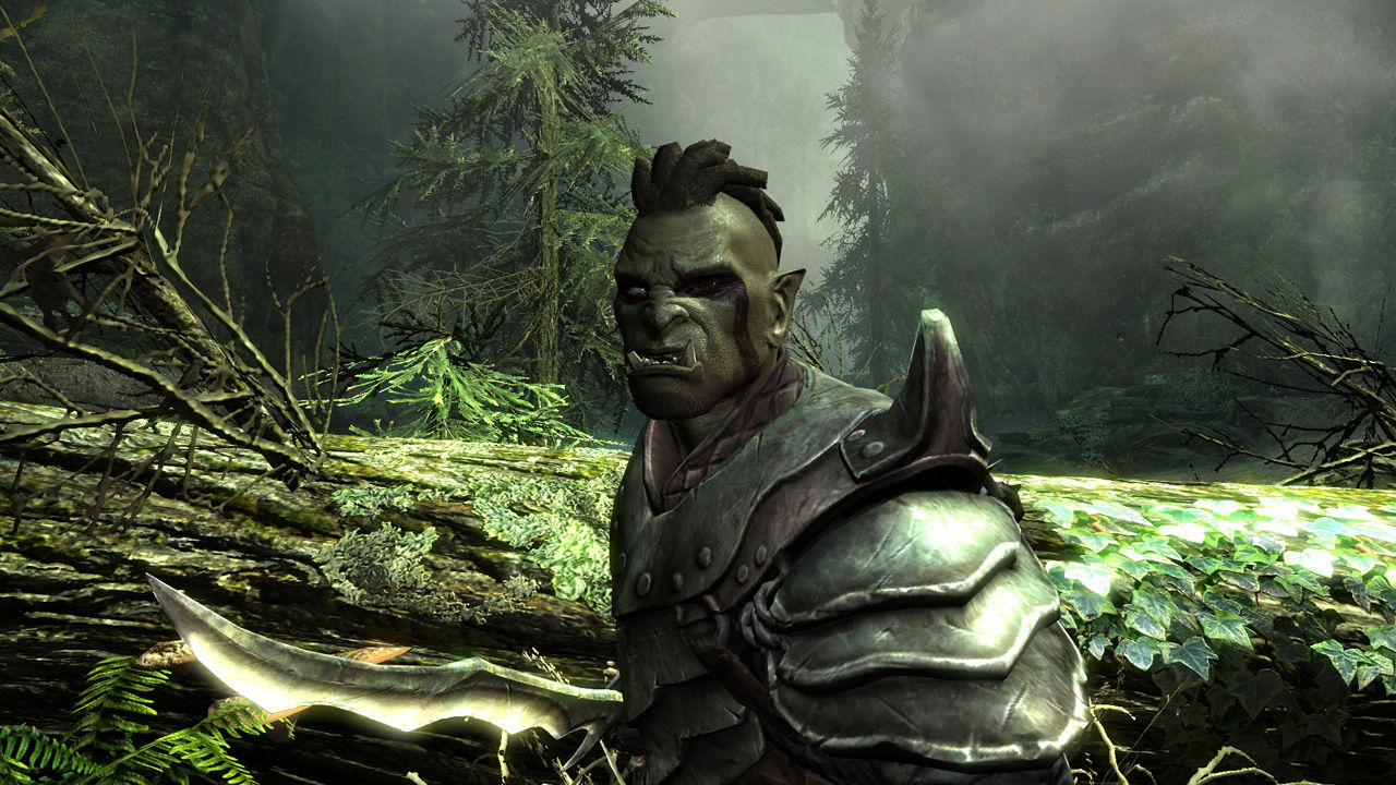 screenshot of The Elder Scrolls V: Skyrim 12