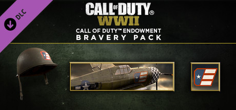 Call of Duty: WWII - Call of Duty Endowment Bravery Pack DLC Steam CD Key