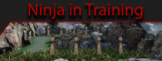Ninja in Training