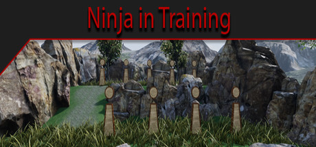 Ninja in Training Cover Image