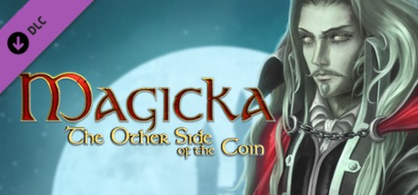 Magicka: The Other Side of the Coin banner image