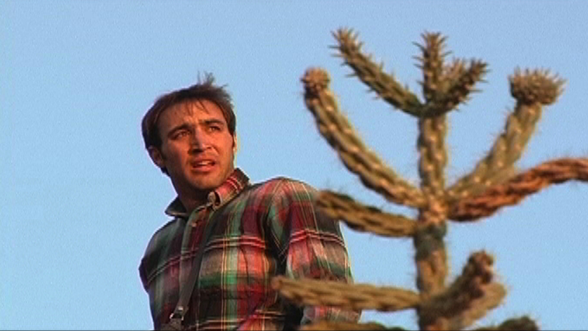 Lost in New Mexico #3