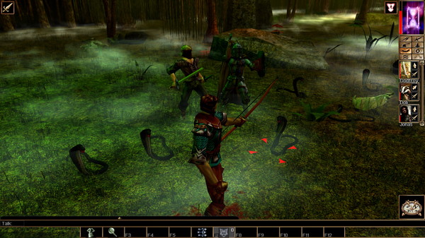 скриншот Neverwinter Nights: Enhanced Edition Wyvern Crown of Cormyr 2