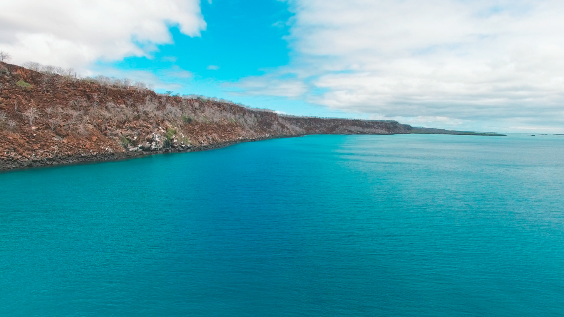 Galapagos Evolution #2