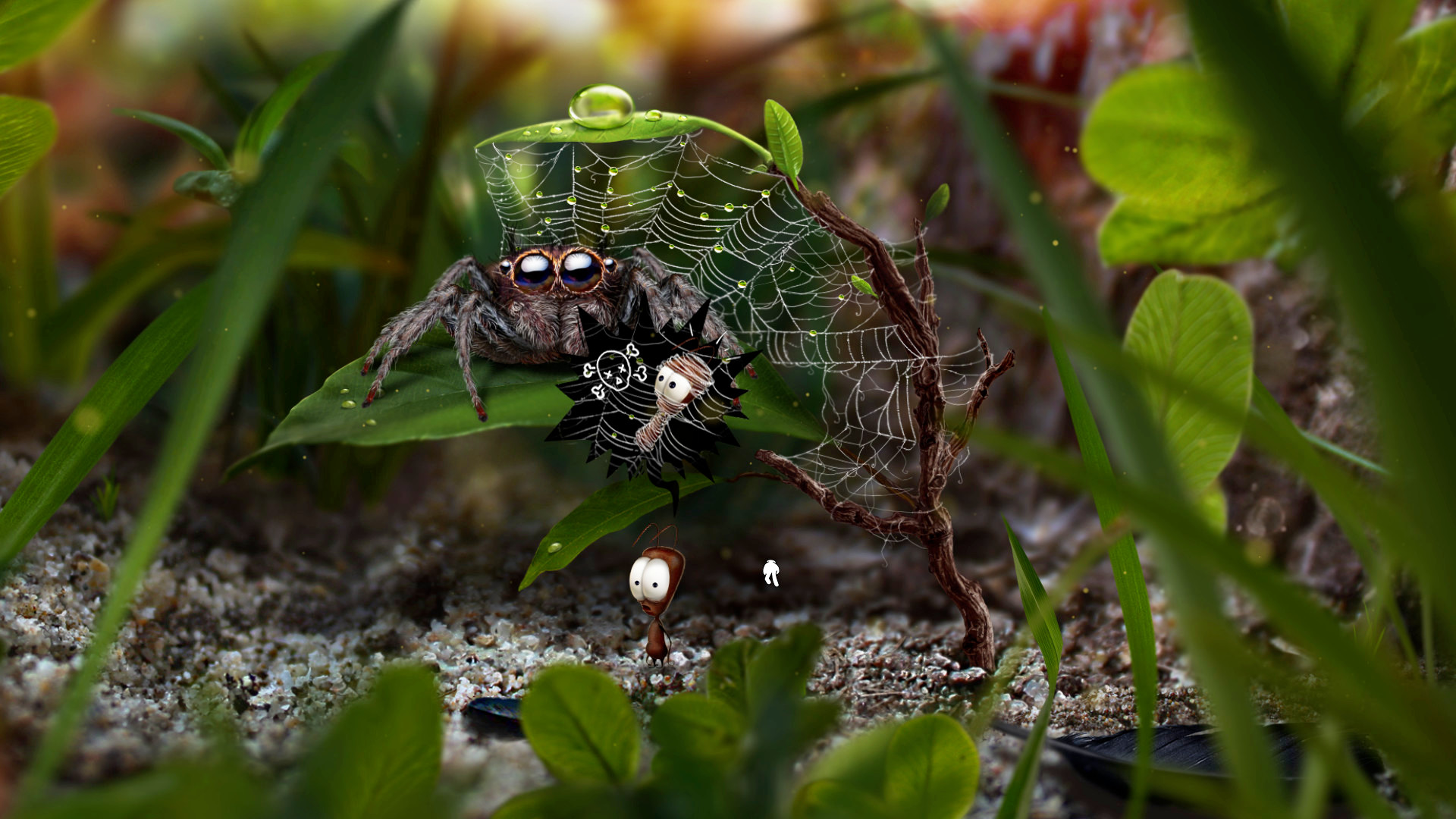 ant_spider