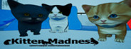 Kitten Madness