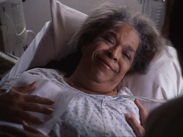 Miracle In The Woods #5