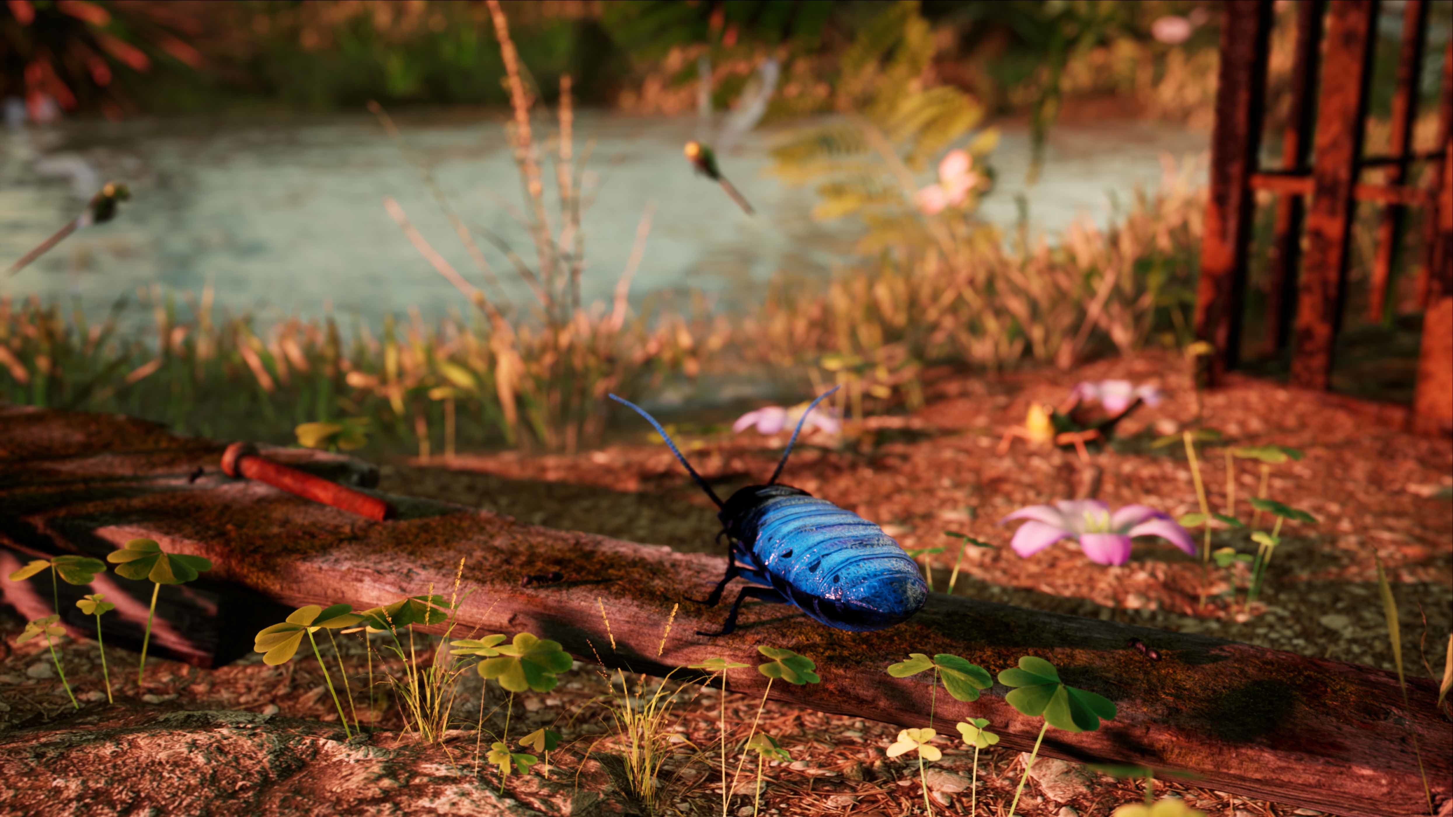 AWAY Survival Series