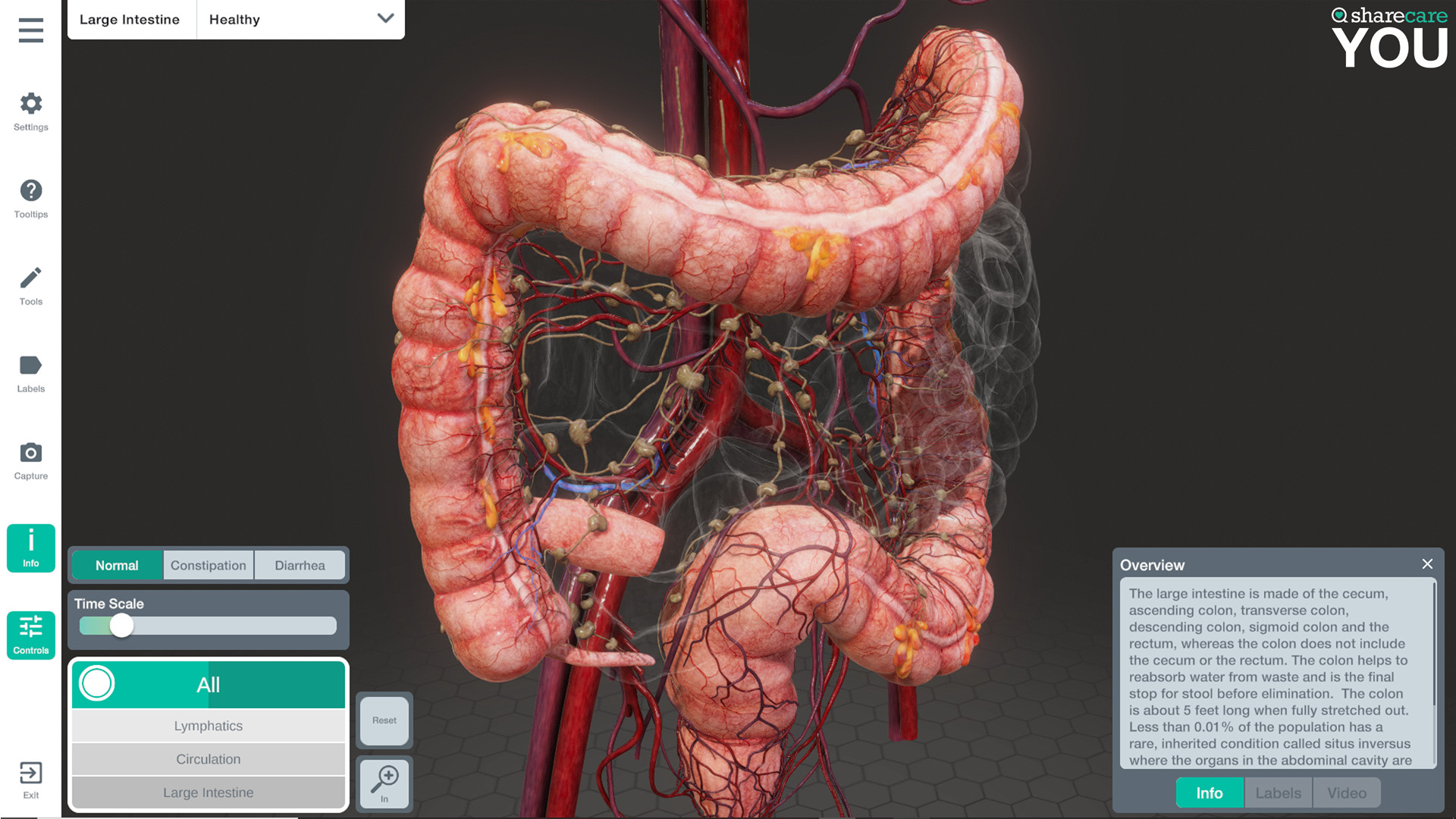 Oculus Quest 游戏《Sharecare YOU Anatomy VR》器官解刨学插图