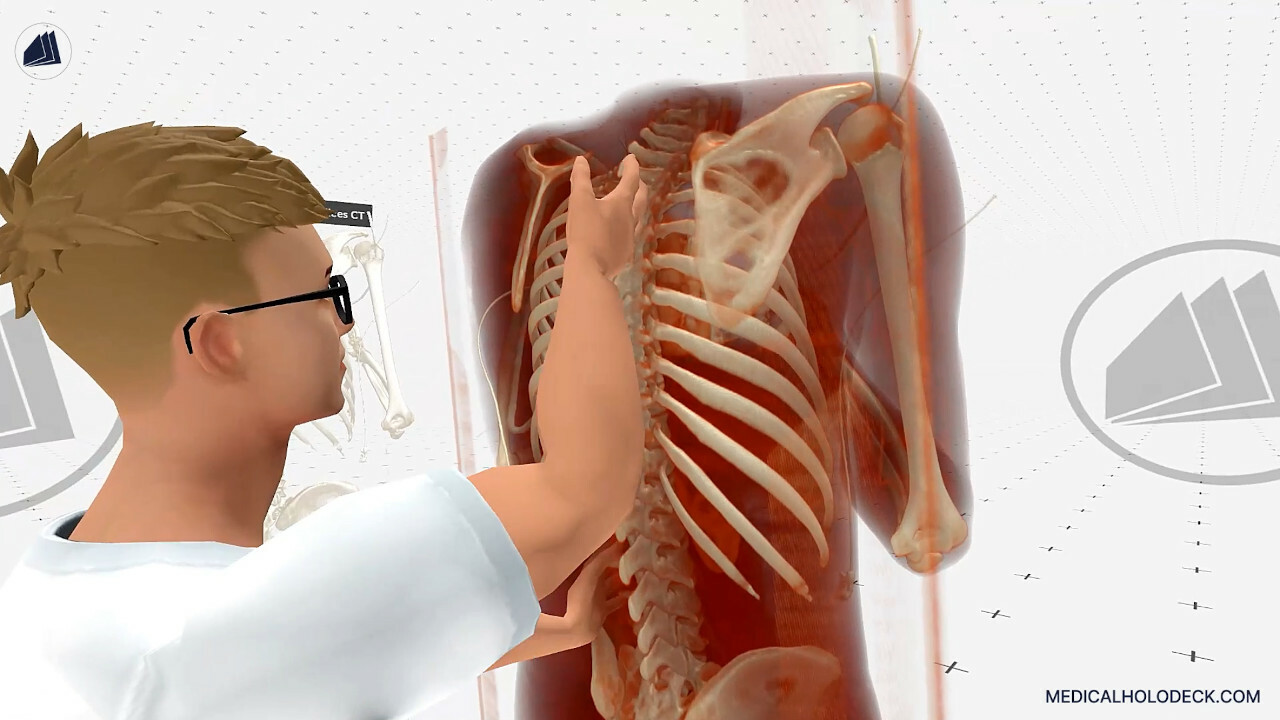 MEDICALHOLODECK. Surgical Planning, Automatic Segmentation, Simulation and Medical Education in Virtual and Augmented Reality. Digital Twins, Medical Imaging, and Anatomy Atlas for Healthcare and Education. screenshot thumbnail screenshot 4