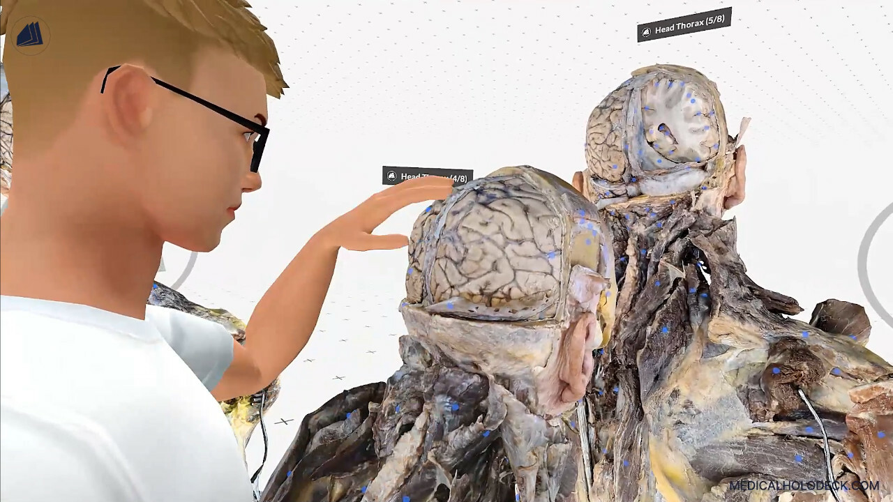 MEDICALHOLODECK. Surgical Planning*, Simulation and Medical Education in Virtual and Augmented Reality. Digital Twins, Medical Imaging, and Anatomy Atlas for Healthcare and Education. screenshot thumbnail screenshot 3