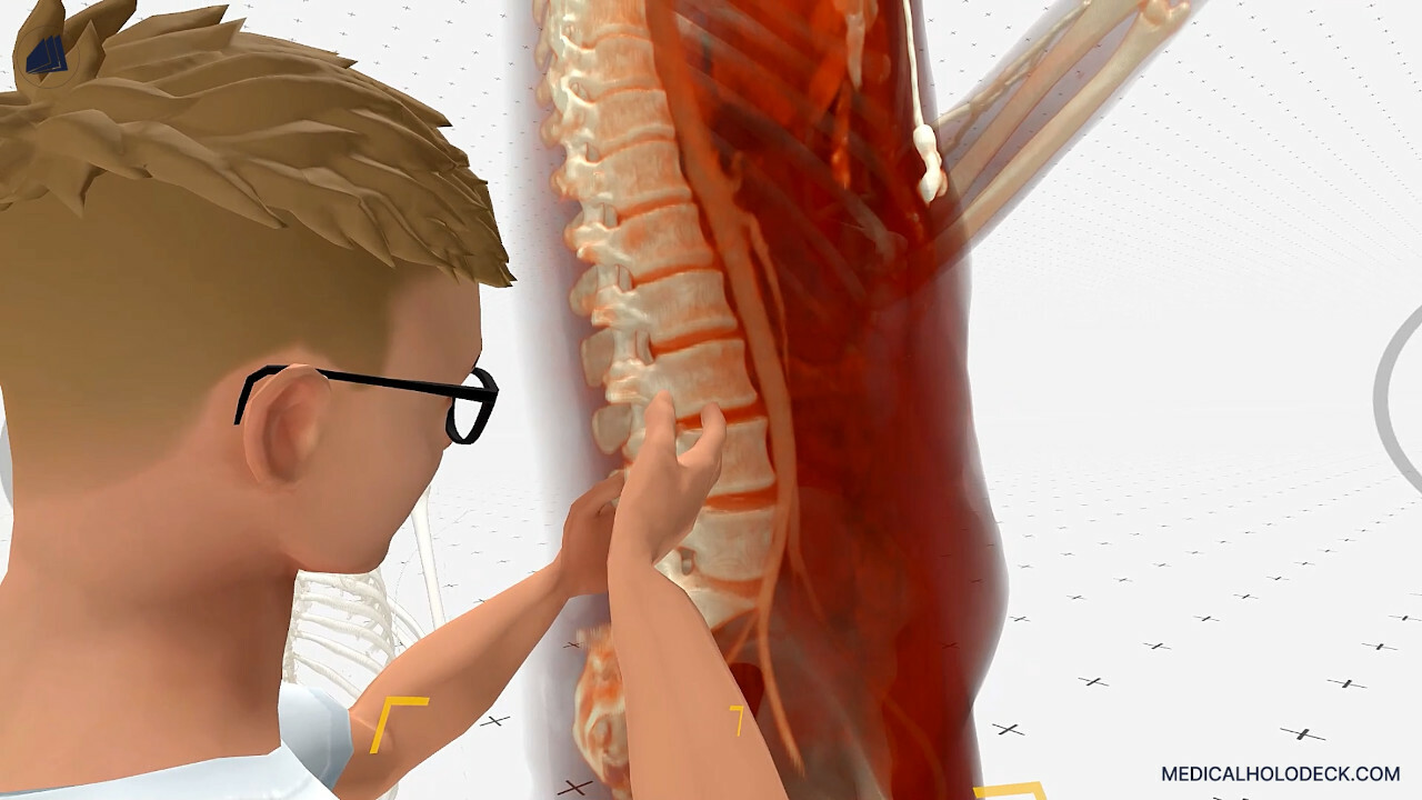 MEDICALHOLODECK. Surgical Planning, Automatic Segmentation, Simulation and Medical Education in Virtual and Augmented Reality. Digital Twins, Medical Imaging, and Anatomy Atlas for Healthcare and Education. screenshot thumbnail screenshot 6