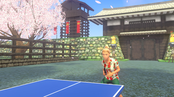 скриншот VR Ping Pong Paradise 4