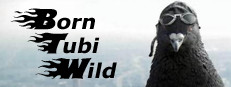 Born Tubi Wild 게임 이미지