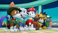 Paw Patrol: On A Roll! picture1
