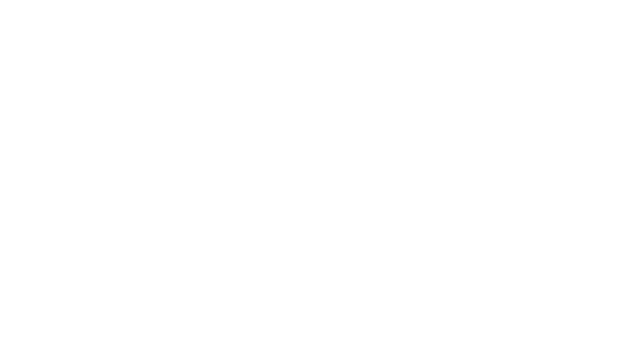 Anima Flux