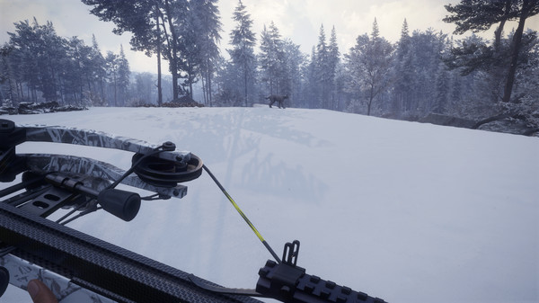 скриншот theHunter: Call of the Wild - Weapon Pack 1 5