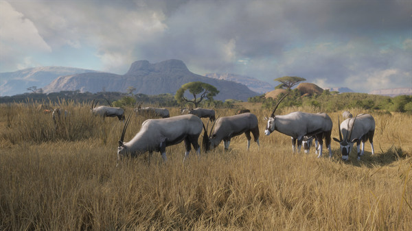 theHunter: Call of the Wild™ - New Species 2018 for steam theHunter: Call of the Wild™ - New Species 2018 for steam