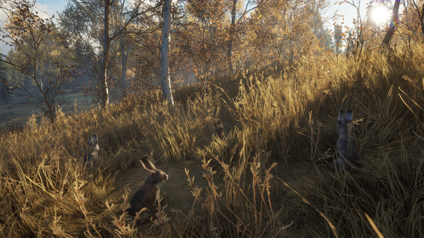 theHunter: Call of the Wild - New Species 2018