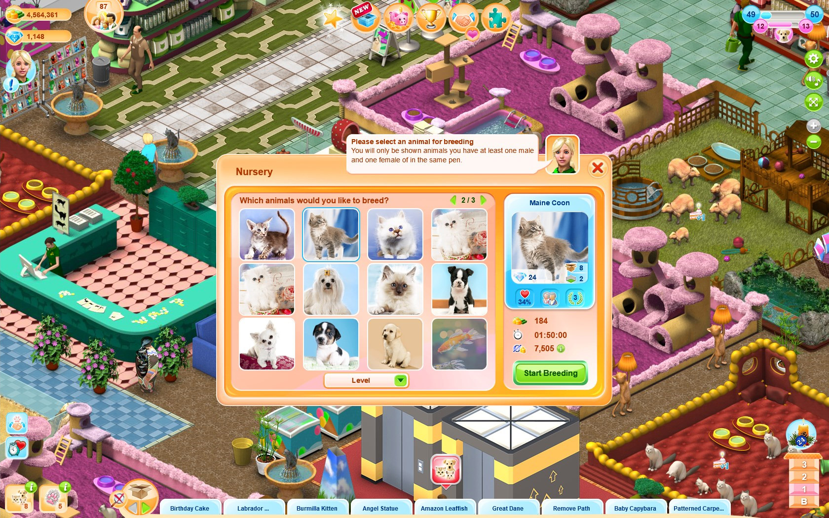 Pet City Games Shop