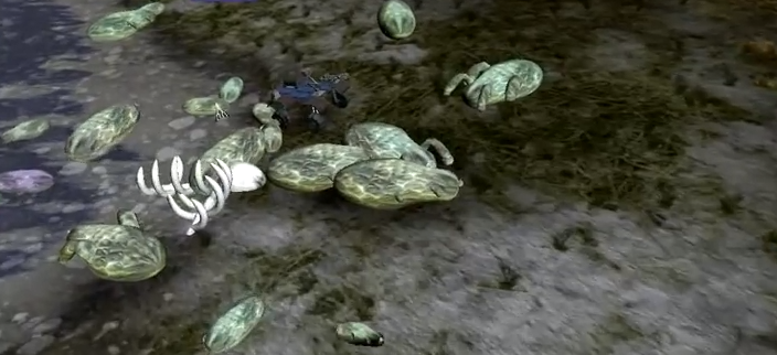 Species: Artificial Life, Real Evolution