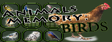 Animals Memory: Birds
