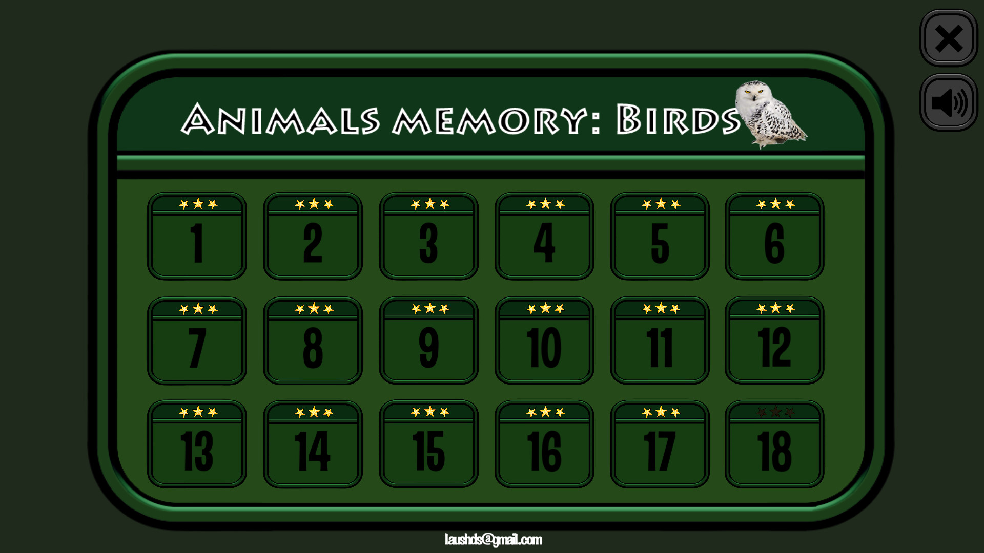 Animals Memory: Birds 5